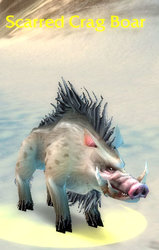 scarred_crag_boar.jpg