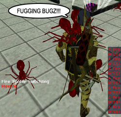 fuggin_bugz.jpg