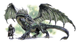 black-dragon.jpg