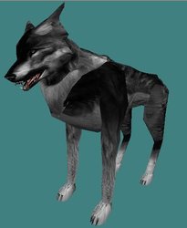 icewolf.jpg