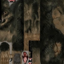 wolfskin.jpg wolfskin.jpg