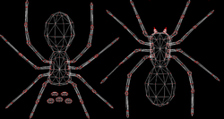 spider2.png