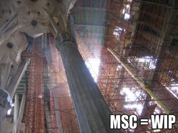 MSC_WIPb.jpg