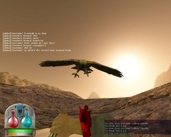 image-0C4D_4BBD5658.jpg