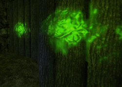 caves_light2.gif