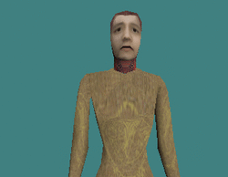 sylph_rage.gif
