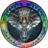 Aeldorandorat