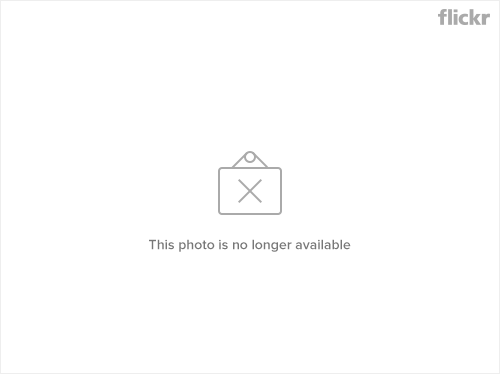 91953346_11fd5b6763.jpg