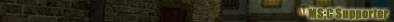 ms_c_supporter.png